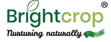 Brightcrop