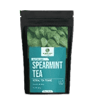 BLENDART TEAS SPEARMINT HERBAL TEA 50G