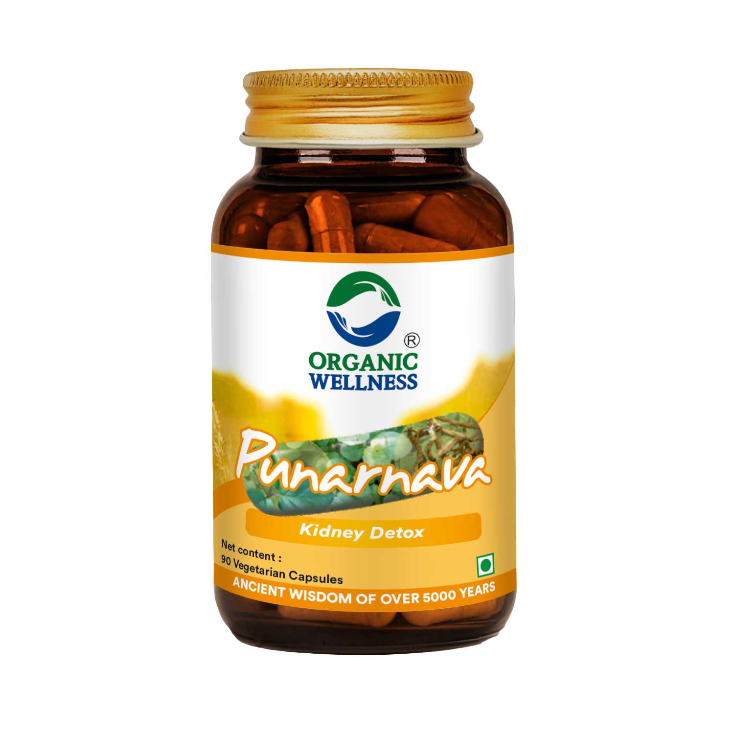 Organic Wellness Punarnava