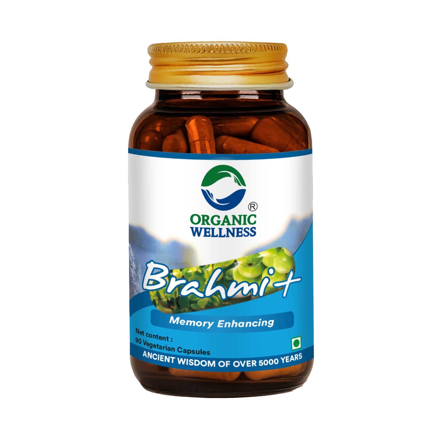 Organic Wellness Brahmi+ II Memory Booster