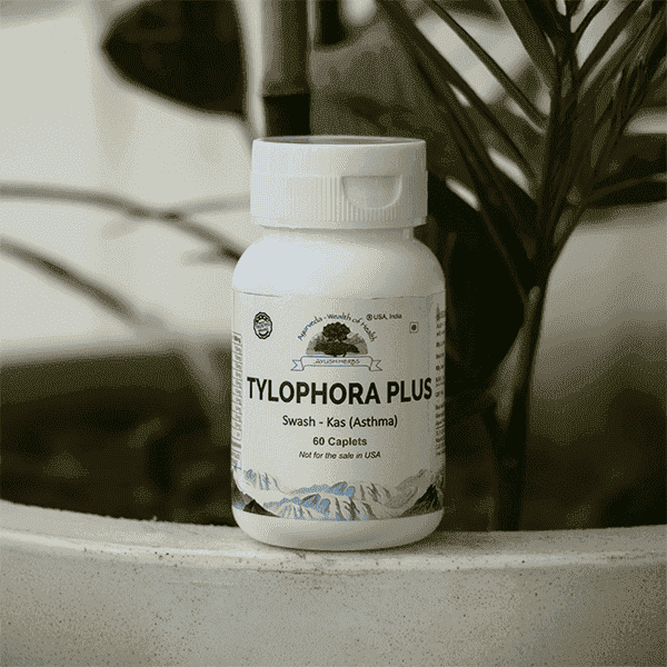Tylophora