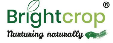 Brightcrop