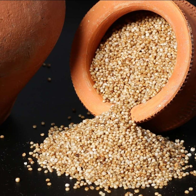 Kodo Millet
